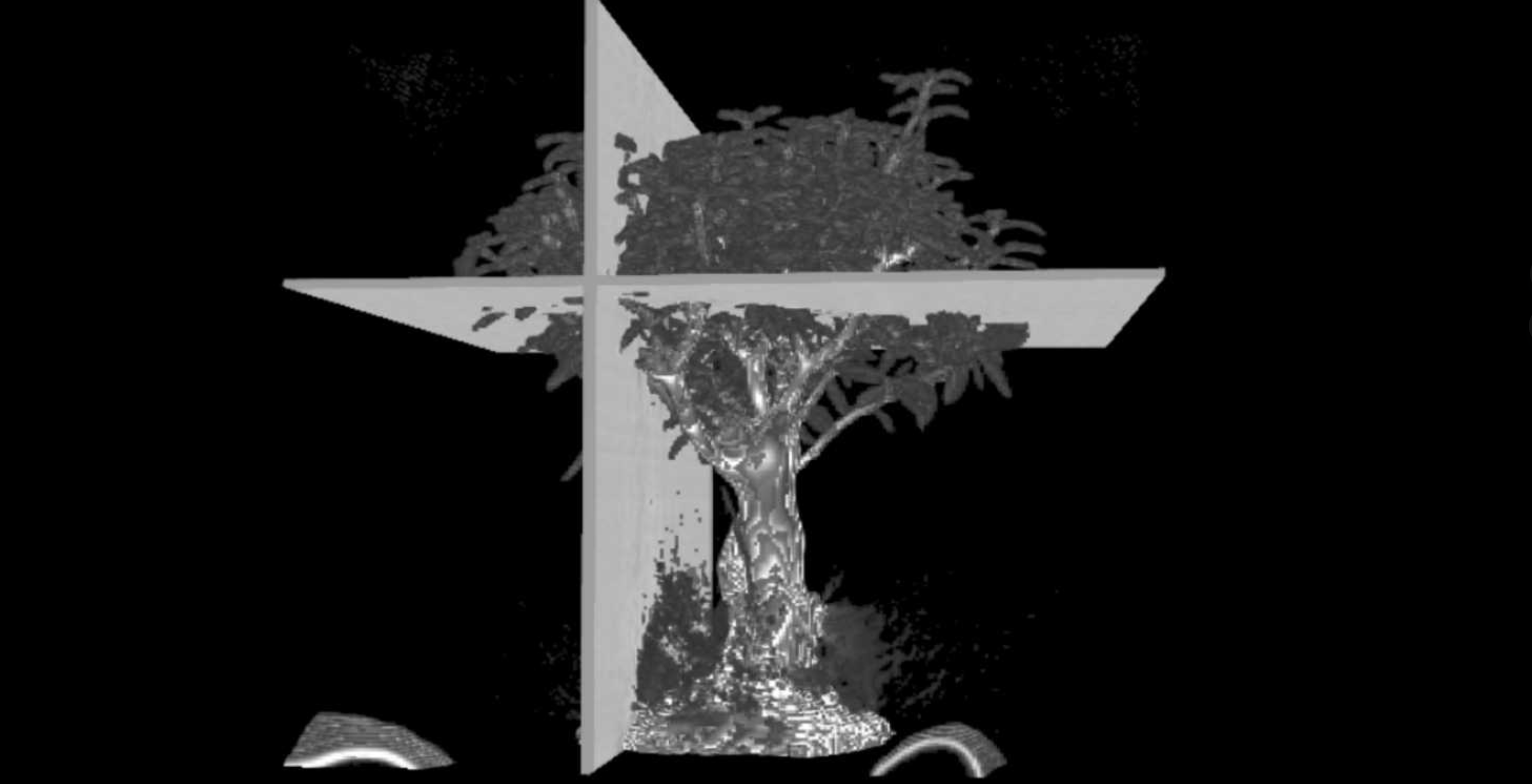 [Undergrad Design] MRender - A GPU Displayer for 3D Tomographic Images